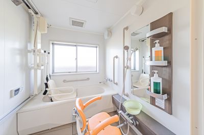 Accessible Tub Installers detail